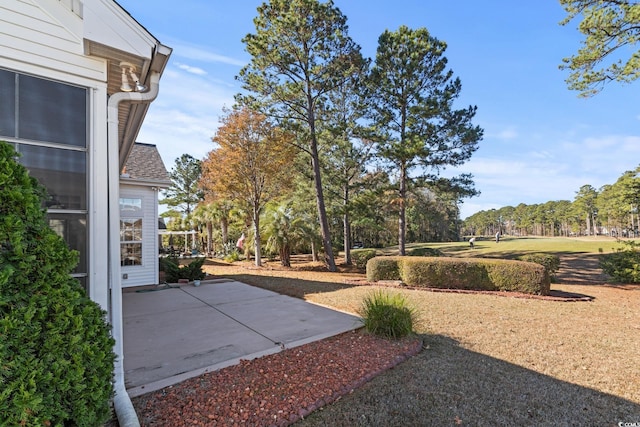 view of yard with a patio area