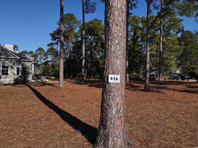 Listing photo 2 for 1058 Fiddlehead Way, Myrtle Beach SC 29579