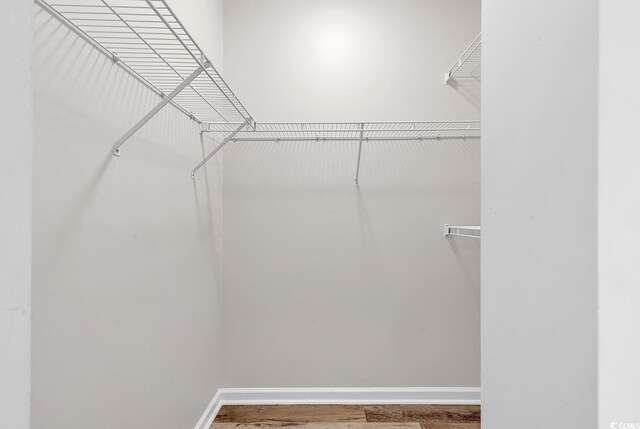 spacious closet featuring wood-type flooring