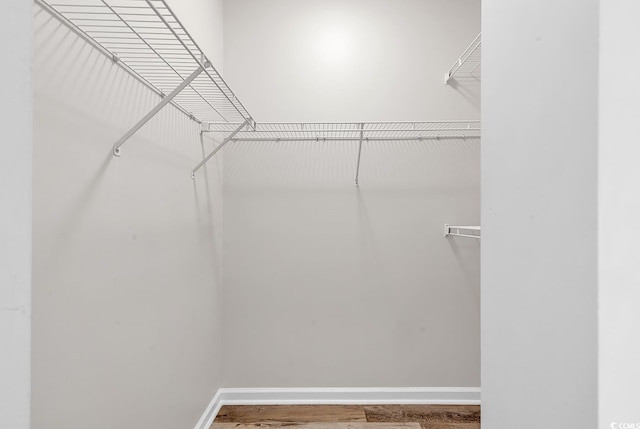 spacious closet featuring wood-type flooring