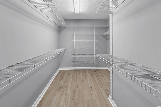 walk in closet with wood finished floors