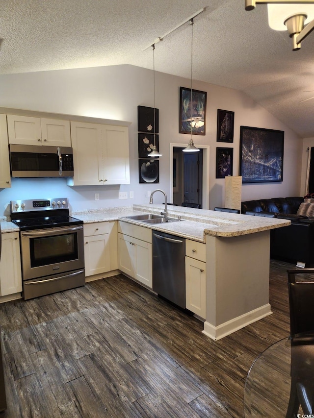 kitchen featuring dark hardwood / wood-style floors, sink, appliances with stainless steel finishes, and vaulted ceiling