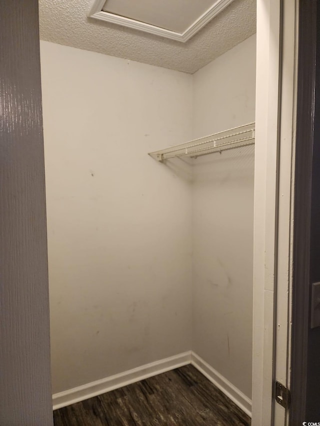 walk in closet with dark wood-type flooring