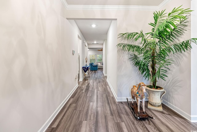 4551 Day Lily Run St, Myrtle Beach, SC 29579