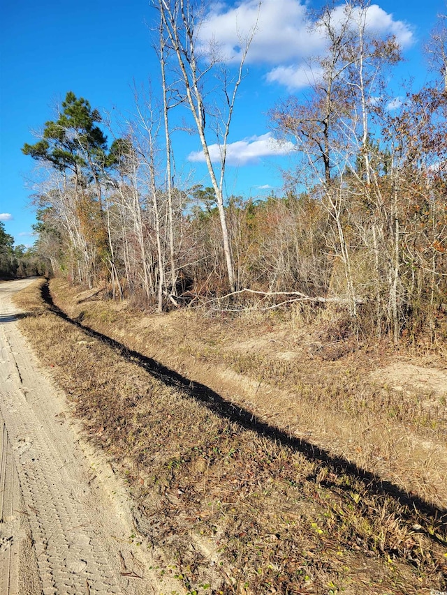 Listing photo 3 for TBD1 Half Pint Rd, Longs SC 29568