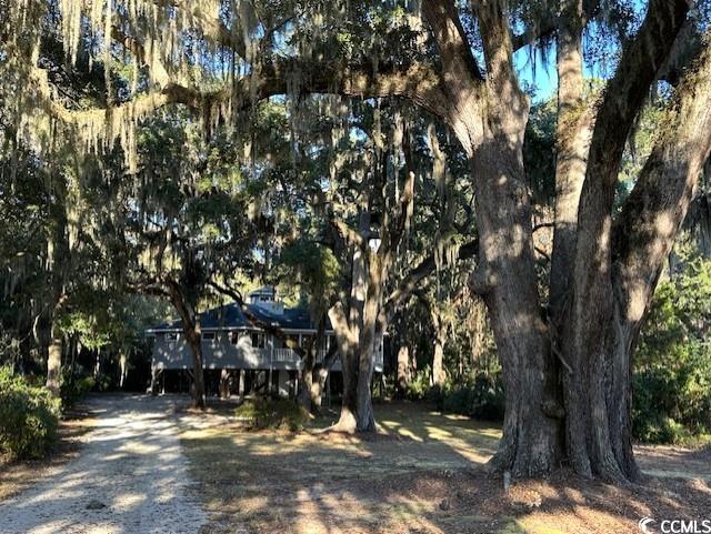 view of property hidden behind natural elements