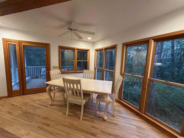 sunroom / solarium with ceiling fan