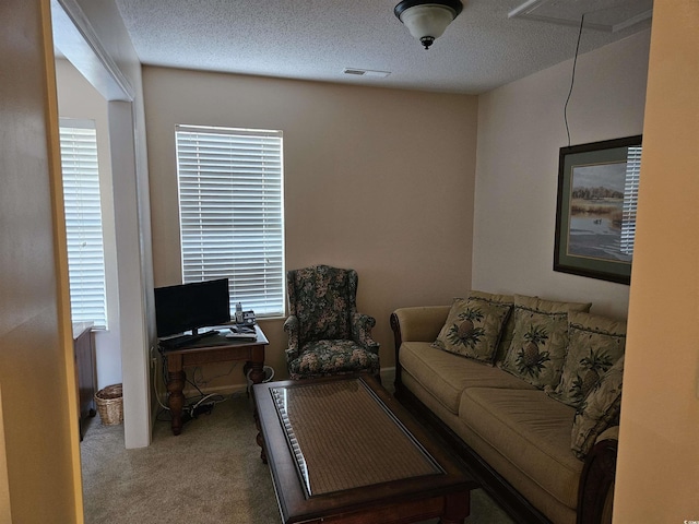 living room featuring carpet flooring and a textured ceiling