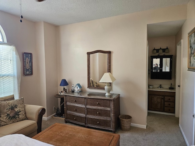 sitting room with a textured ceiling, light colored carpet, a wealth of natural light, and sink