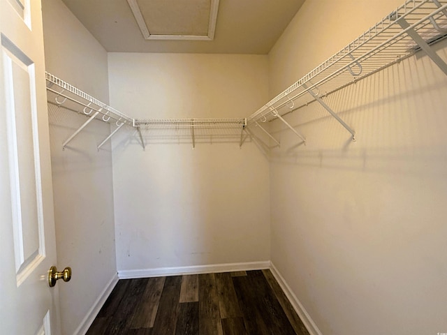 walk in closet featuring hardwood / wood-style floors