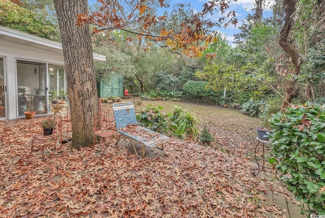 view of yard with a storage shed