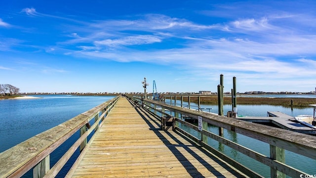 dock area with a water view