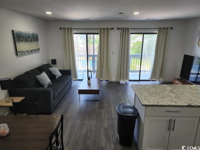 living room featuring a healthy amount of sunlight and dark hardwood / wood-style flooring