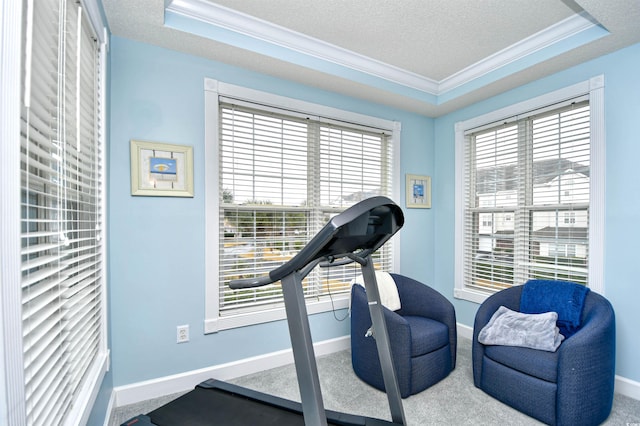 exercise area featuring carpet, a tray ceiling, and crown molding