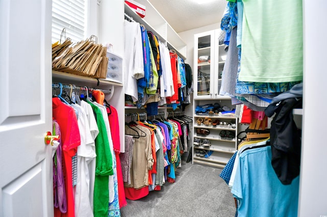 walk in closet featuring carpet flooring