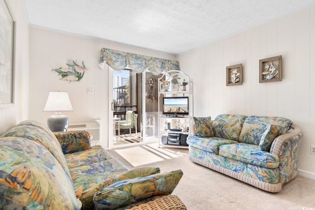 carpeted living room with a textured ceiling