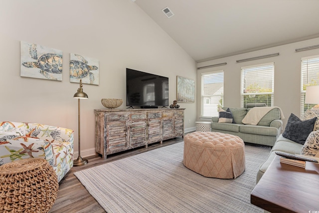 living room with hardwood / wood-style flooring and high vaulted ceiling