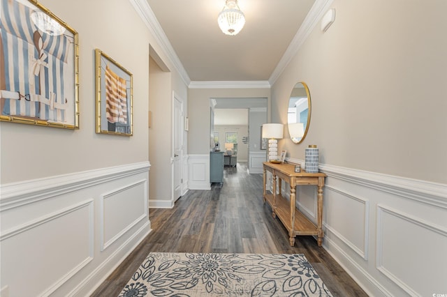 hallway featuring dark hardwood / wood-style floors and crown molding