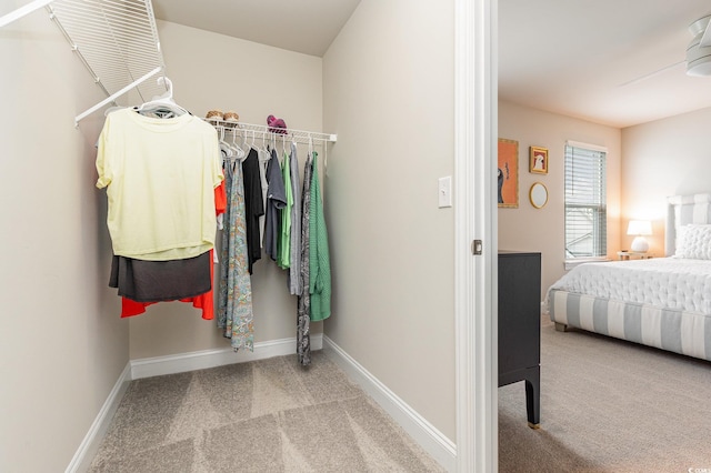 spacious closet featuring ceiling fan and carpet floors