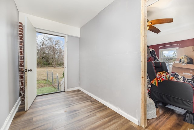 foyer with ceiling fan and wood-type flooring