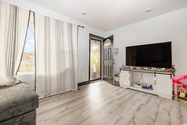 living room featuring light hardwood / wood-style flooring