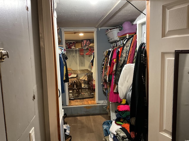 walk in closet with hardwood / wood-style floors