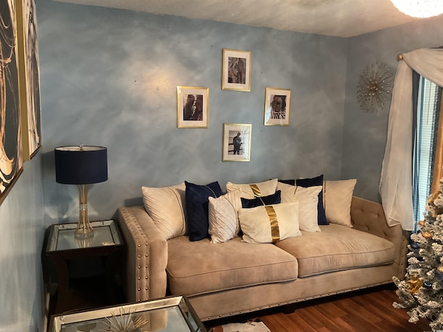 living room with hardwood / wood-style flooring