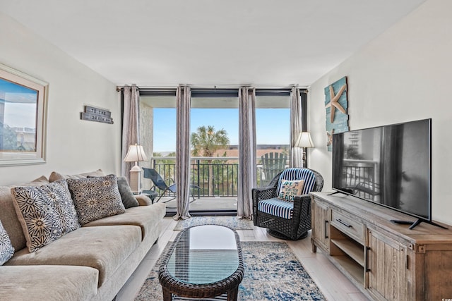 living room featuring plenty of natural light, expansive windows, and light hardwood / wood-style floors