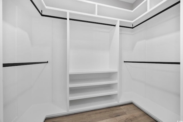 spacious closet featuring hardwood / wood-style floors