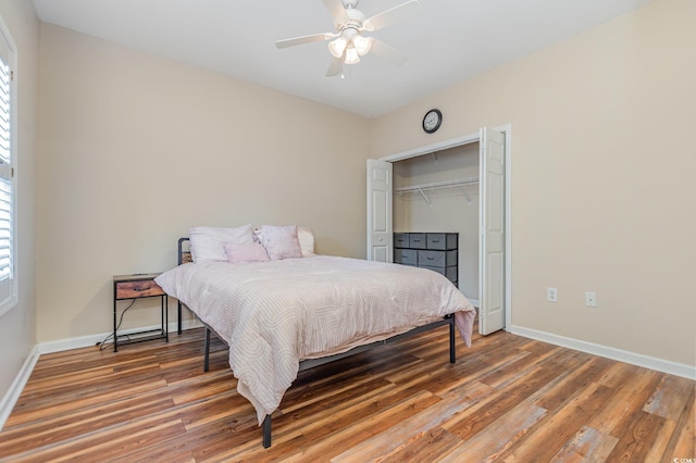 bedroom with multiple windows, hardwood / wood-style floors, and a closet