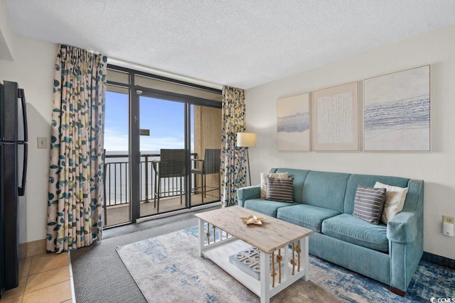 4800 S Ocean Blvd Unit 1219, North Myrtle Beach, SC 29582 - living room with a textured ceiling, tile patterned floors, and baseboards