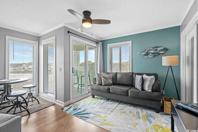 living room featuring hardwood / wood-style floors, a textured ceiling, ceiling fan, and crown molding