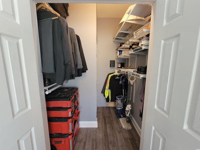 spacious closet featuring dark hardwood / wood-style flooring