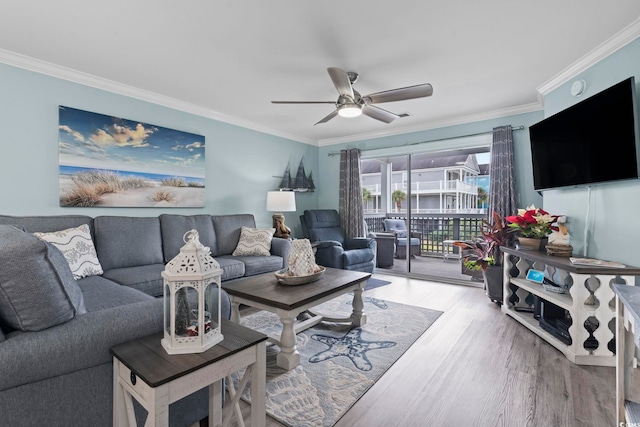 living room featuring light wood-type flooring, ceiling fan, and ornamental molding