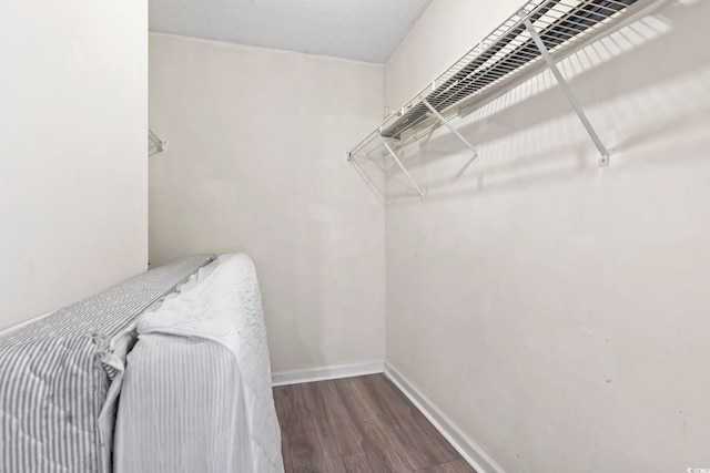 spacious closet with dark wood-type flooring