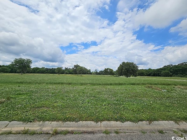 TBD Cravens St, Georgetown SC, 29440 land for sale