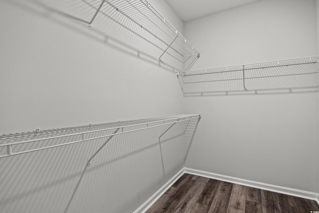 332 Hayloft Cir, Conway, SC 29526 - walk in closet featuring wood finished floors