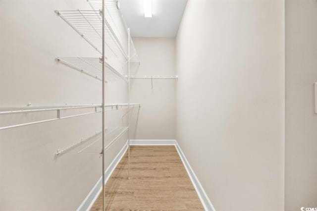 spacious closet featuring light hardwood / wood-style floors