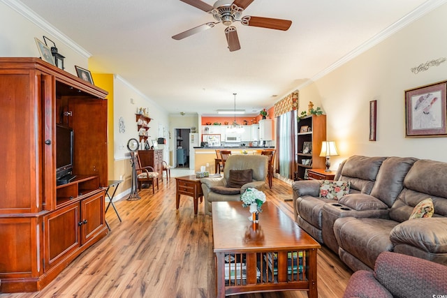 living room with ceiling fan, light wood-type flooring, and ornamental molding