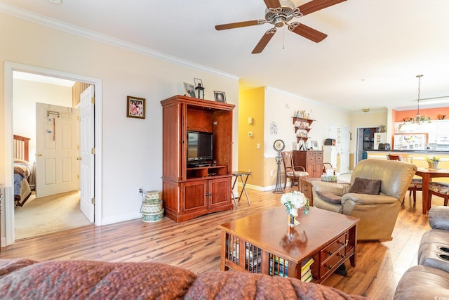 living room featuring ceiling fan with notable chandelier, ornamental molding, and light wood-type flooring