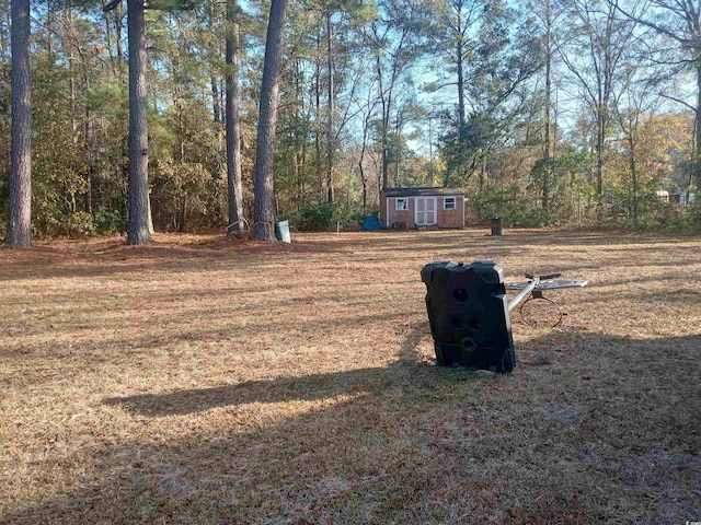 view of yard with a storage shed