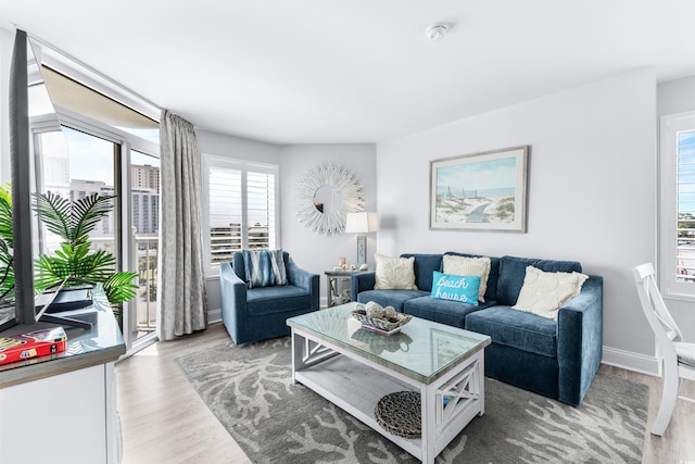 living room with hardwood / wood-style flooring