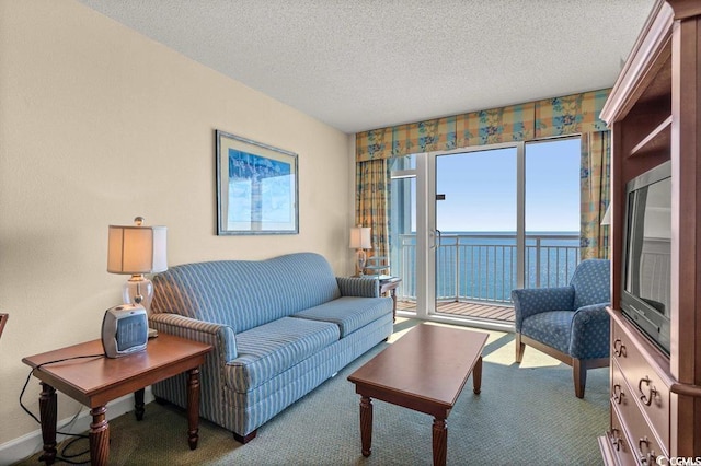 carpeted living area with a textured ceiling