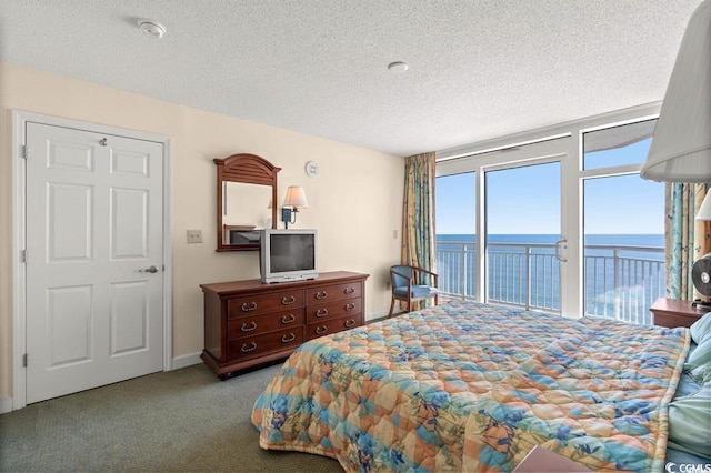 bedroom featuring access to exterior, a textured ceiling, and carpet