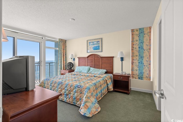 carpeted bedroom with access to exterior, a textured ceiling, and baseboards