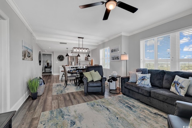 living room with dark hardwood / wood-style floors, ceiling fan, and ornamental molding