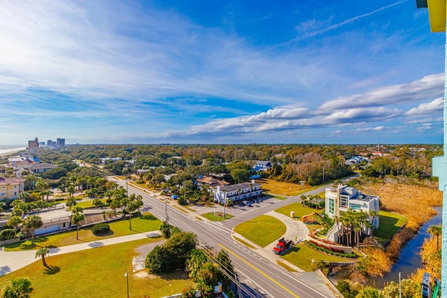 bird's eye view