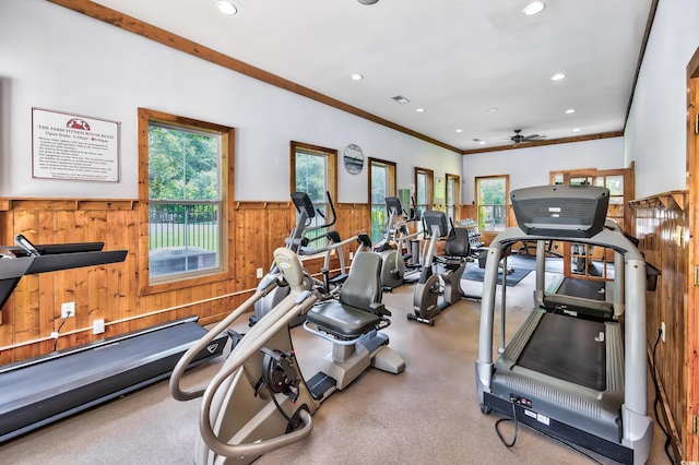 exercise room with a wealth of natural light, ceiling fan, crown molding, and wood walls