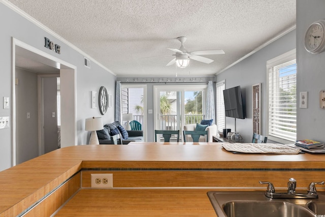 kitchen with ceiling fan, sink, a textured ceiling, and ornamental molding