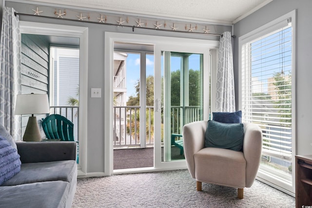 doorway with a textured ceiling, carpet floors, and crown molding